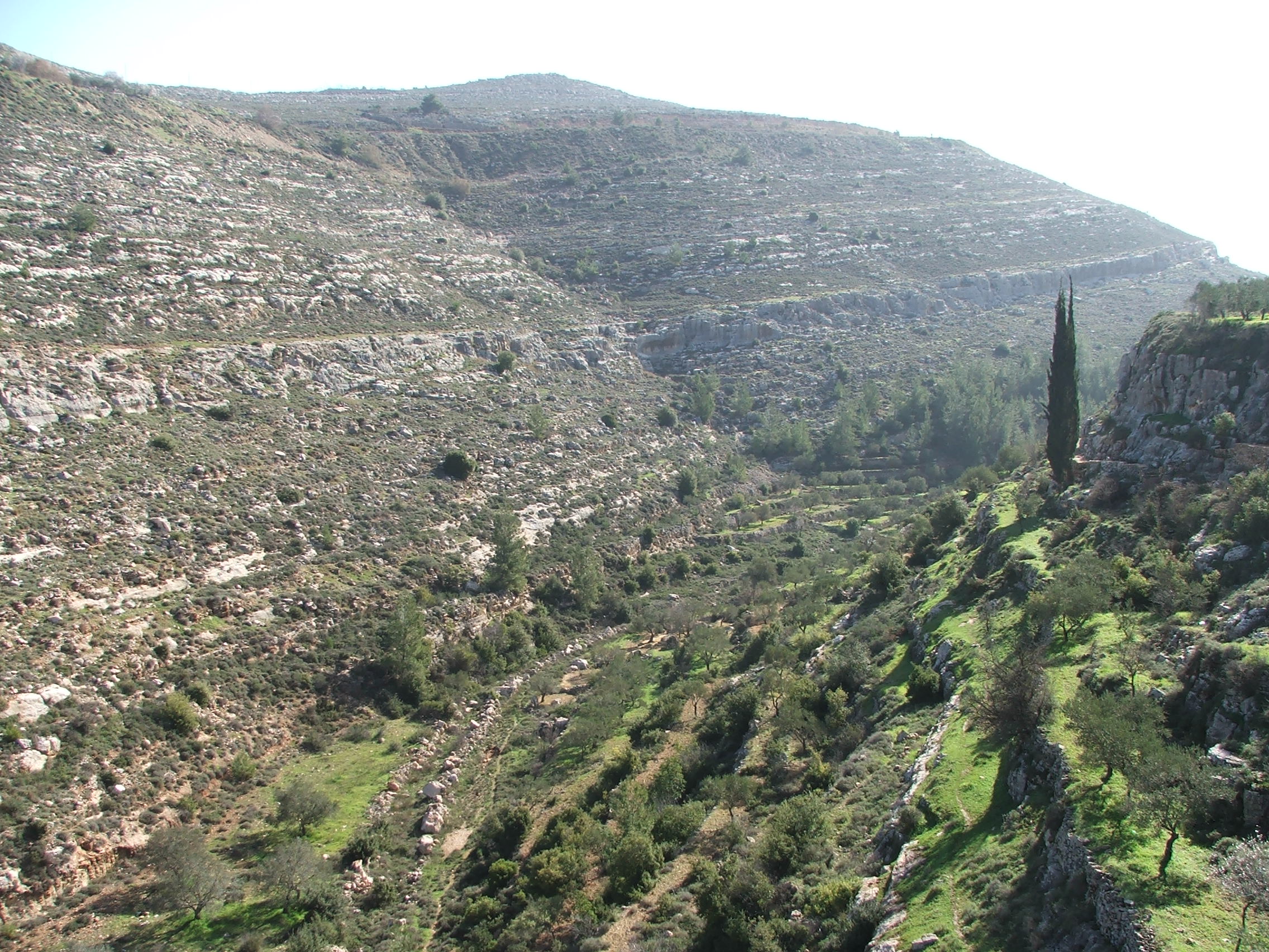 Photo of Bettir Valley in 2013